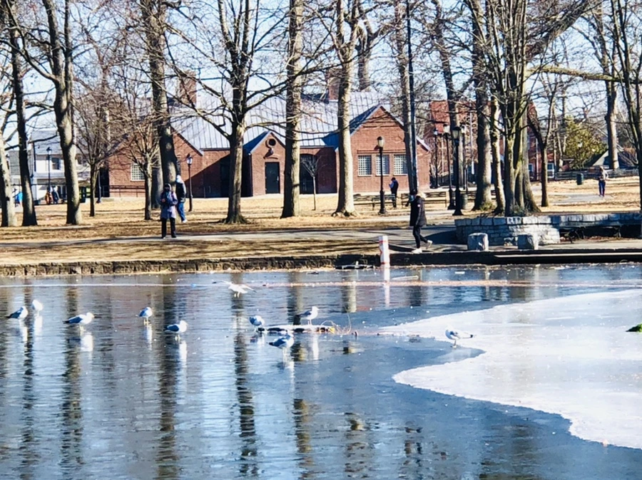 IMG_7895.jpg?type=w966