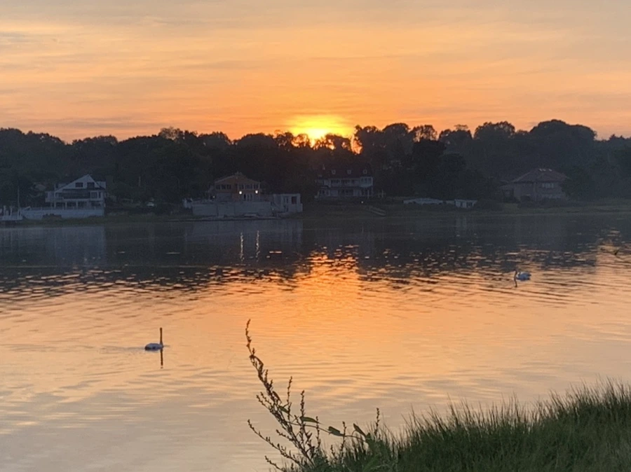 IMG_6824.jpg?type=w966