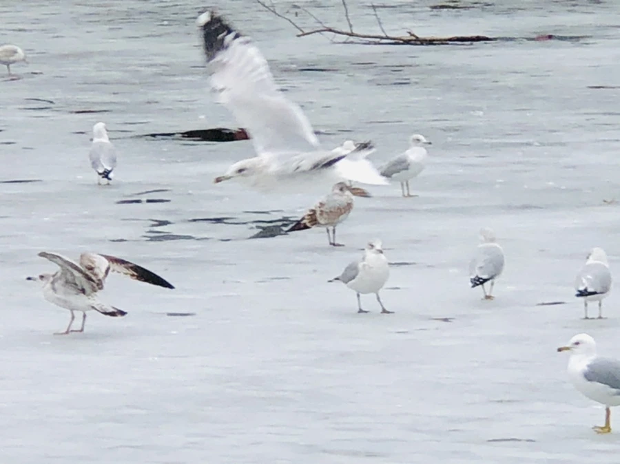 IMG_6343.jpg?type=w966