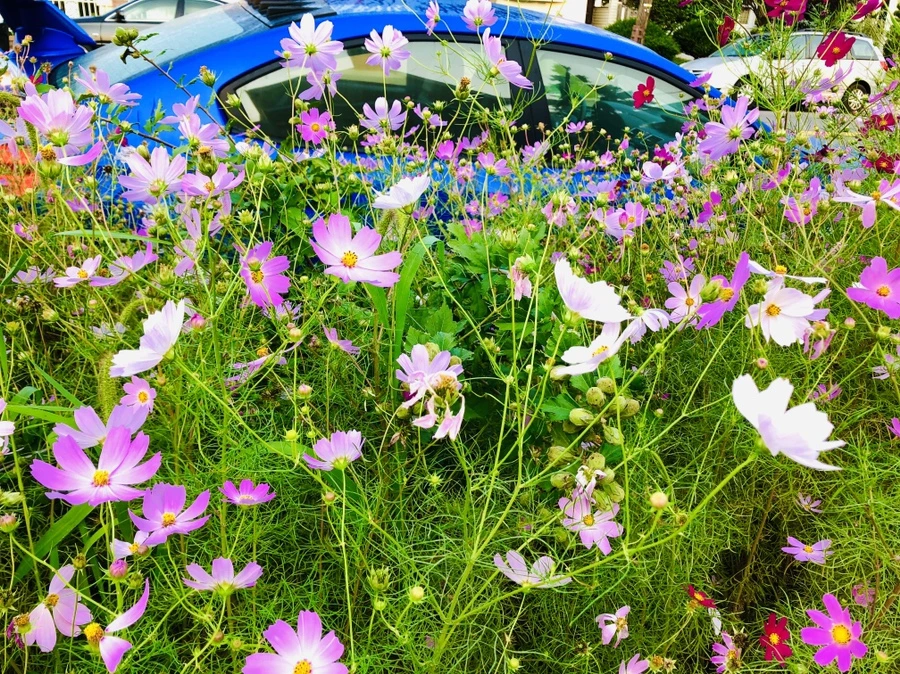 IMG_0181.jpg?type=w966