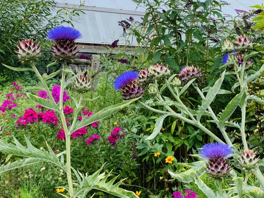 IMG_9396.jpg?type=w966