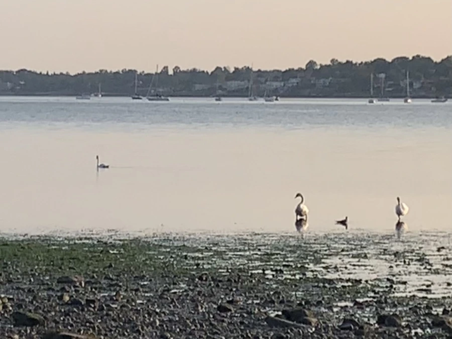 IMG_9773.jpg?type=w966