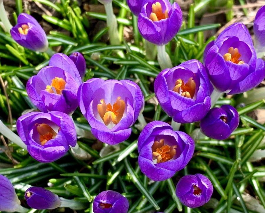 IMG_0150.jpg?type=w966