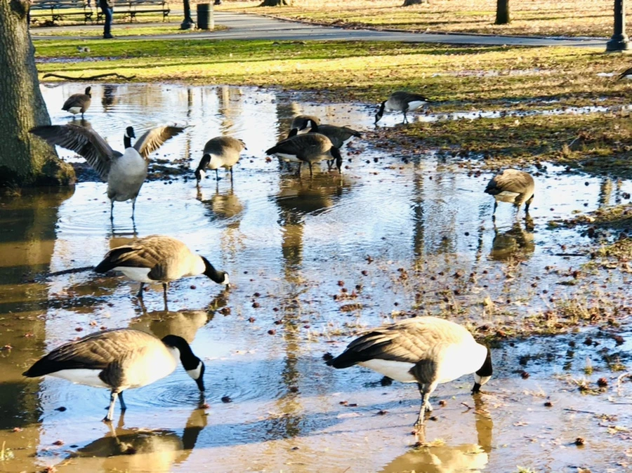 IMG_9292.jpg?type=w966