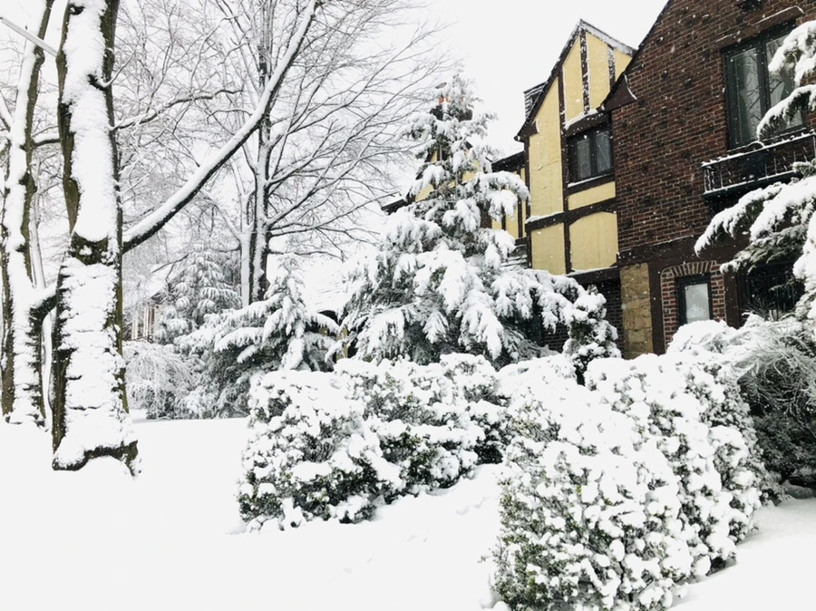 IMG_1013.jpg?type=w966