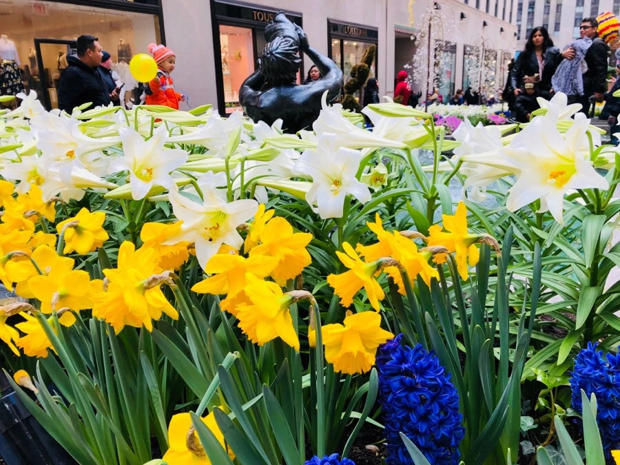 IMG_4172.jpg?type=w966