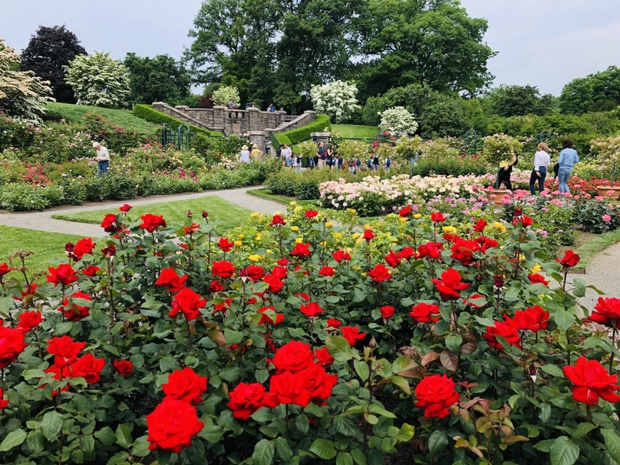 IMG_5705.jpg?type=w966