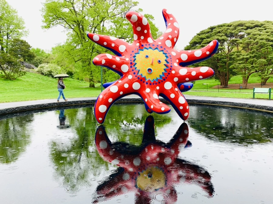 IMG_9767.jpg?type=w966