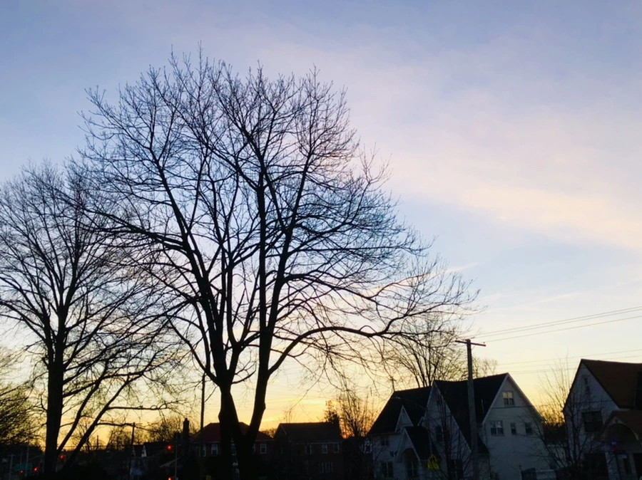 IMG_5621.jpg?type=w966