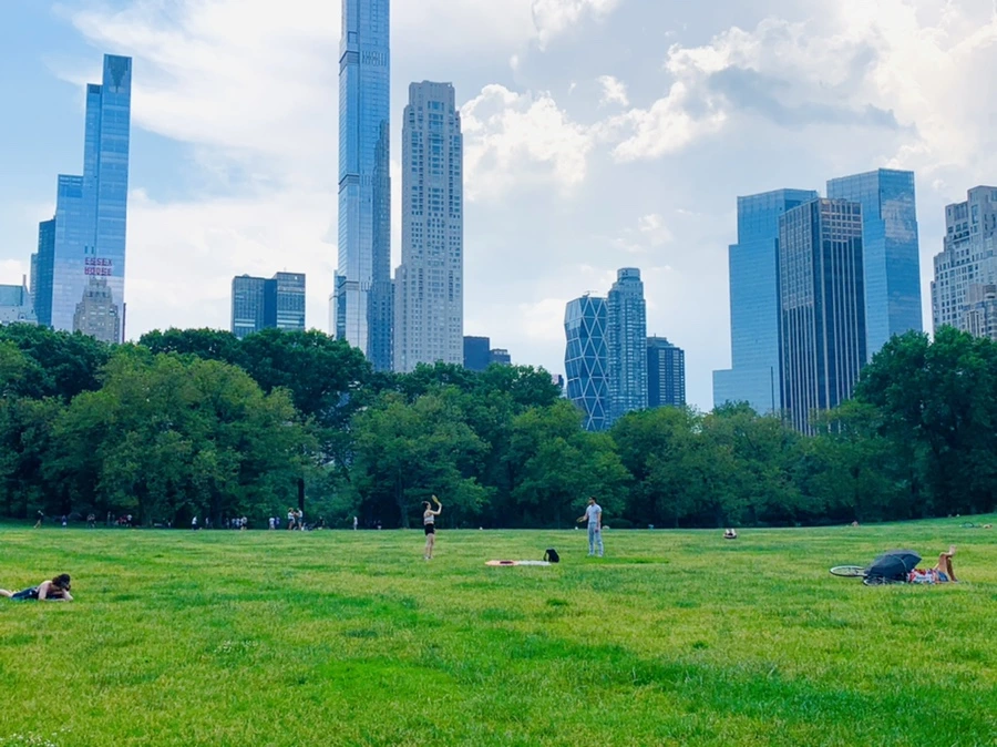 IMG_1651.jpg?type=w966