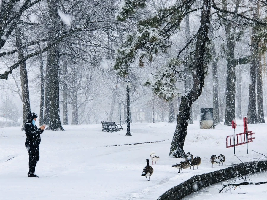 IMG_4250.jpg?type=w966