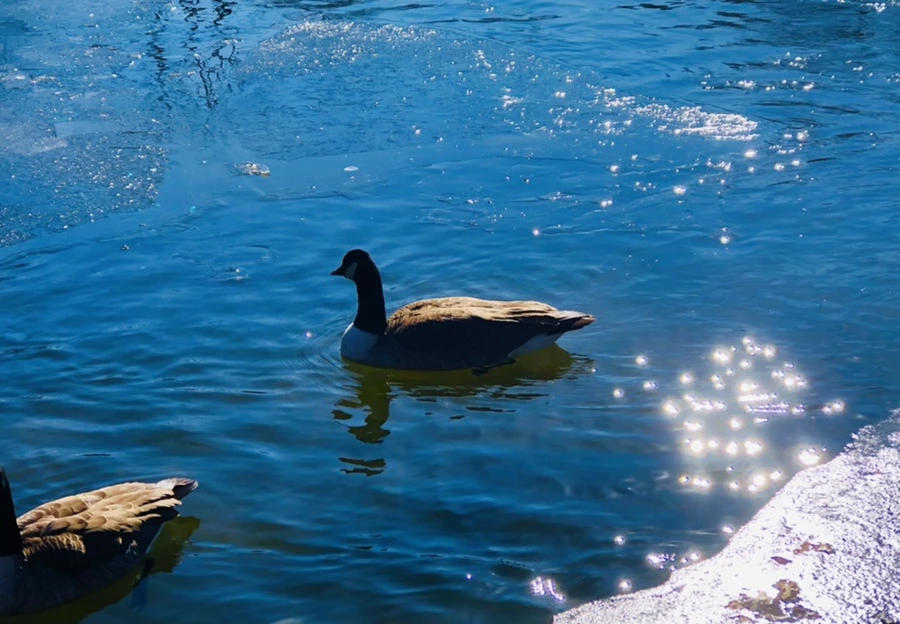 IMG_7761.jpg?type=w966