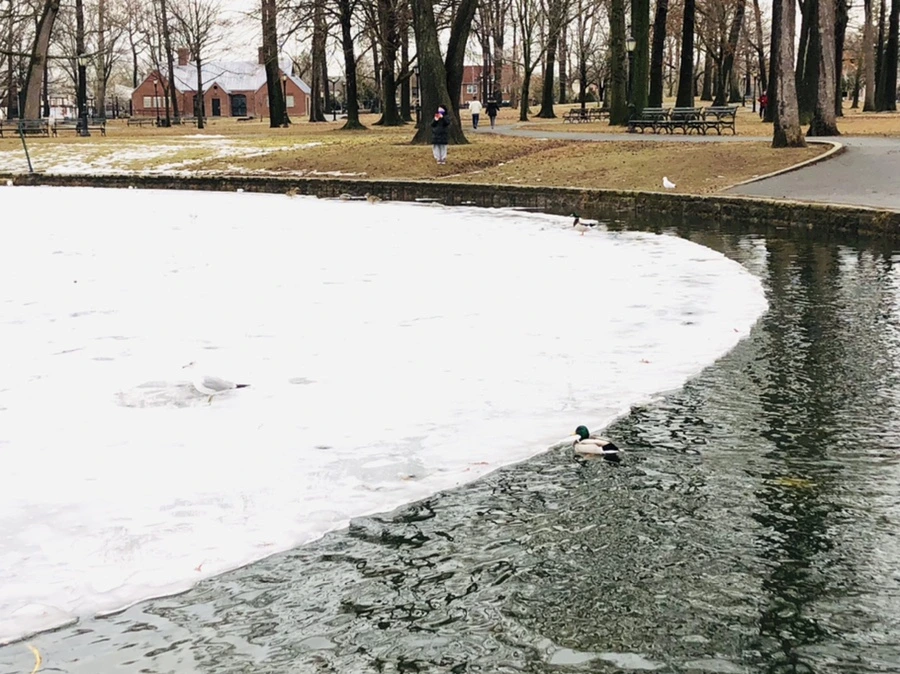 IMG_6222.jpg?type=w966