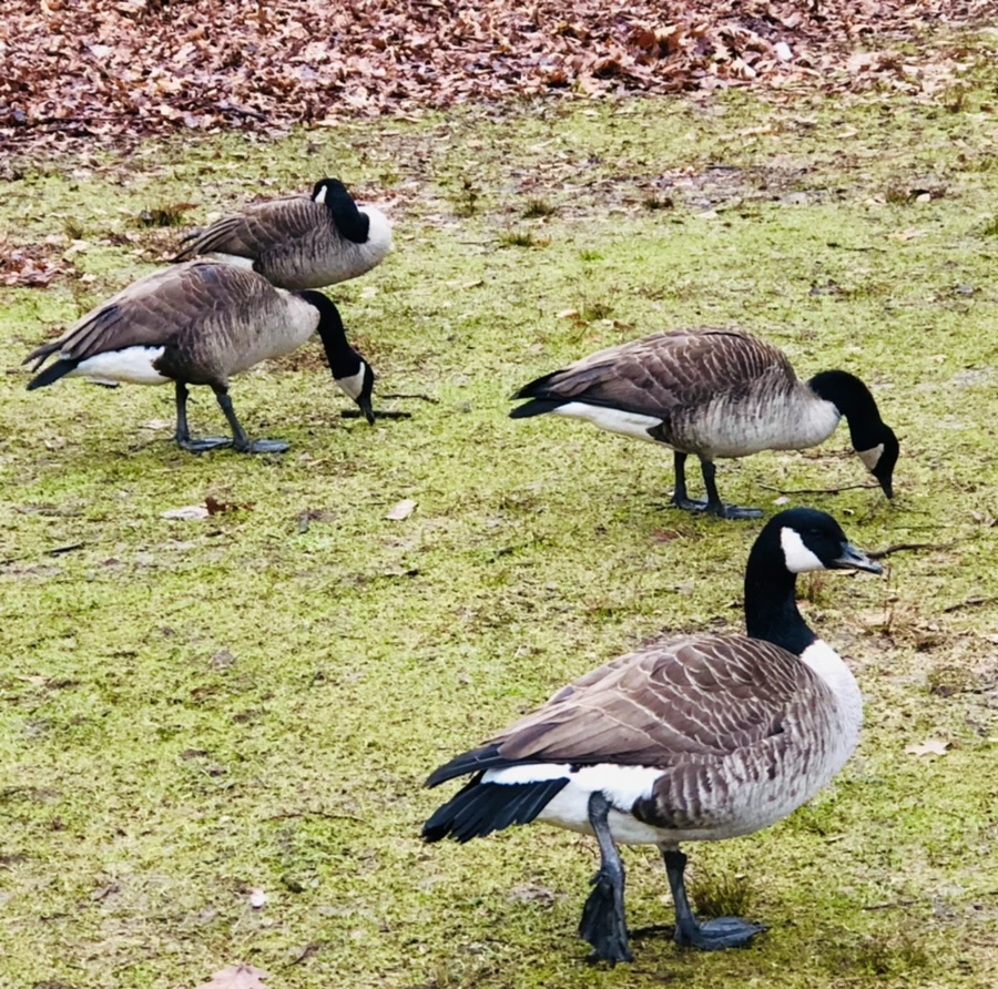 IMG_3353.jpg?type=w966