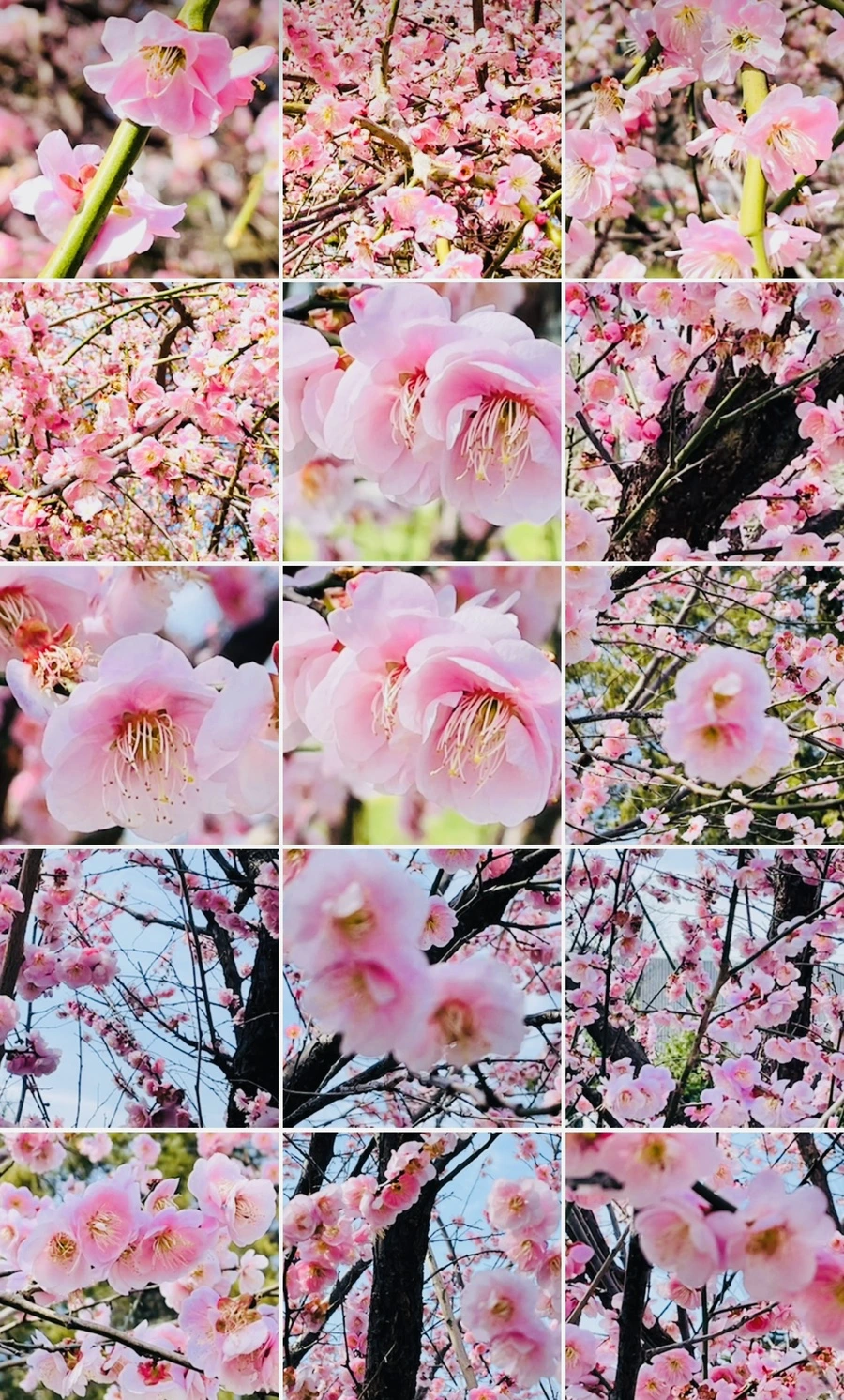 IMG_6779.jpg?type=w966