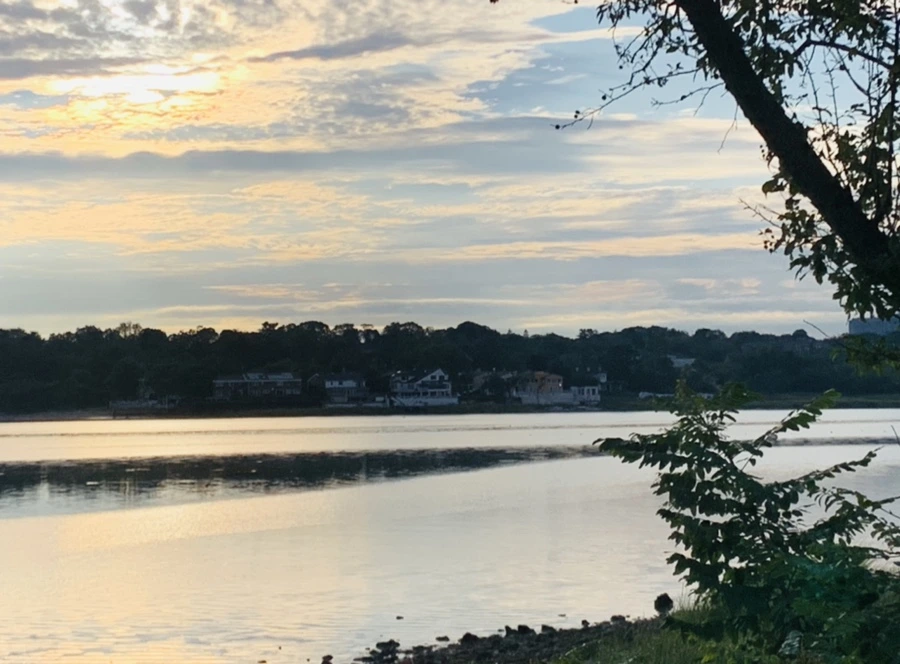 IMG_7748.jpg?type=w966