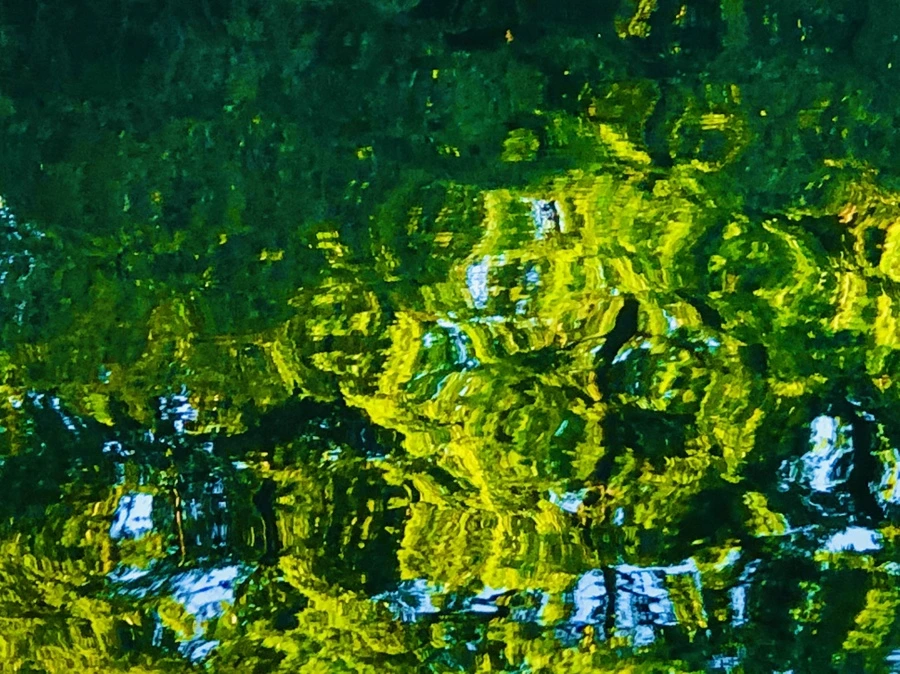 IMG_2622.jpg?type=w966