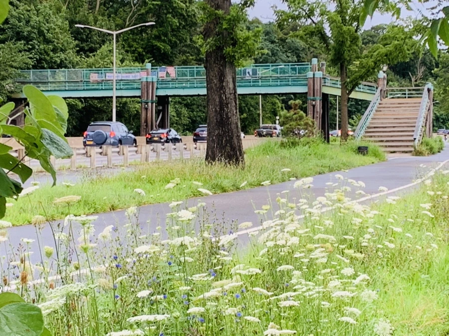 IMG_7728.jpg?type=w966