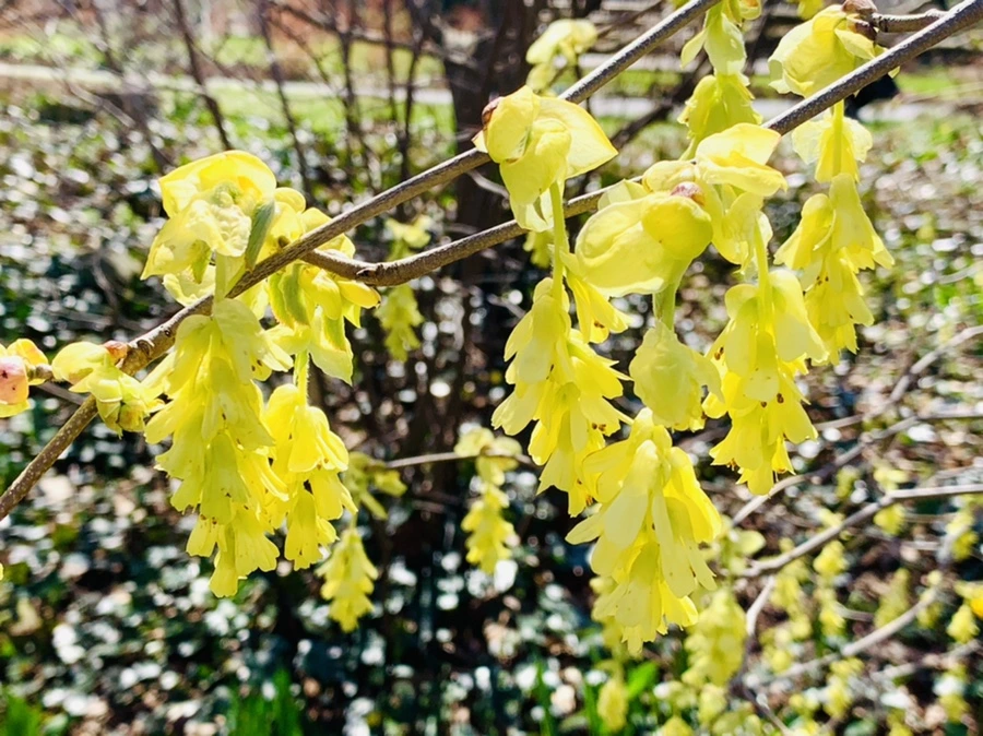 IMG_5793.jpg?type=w966