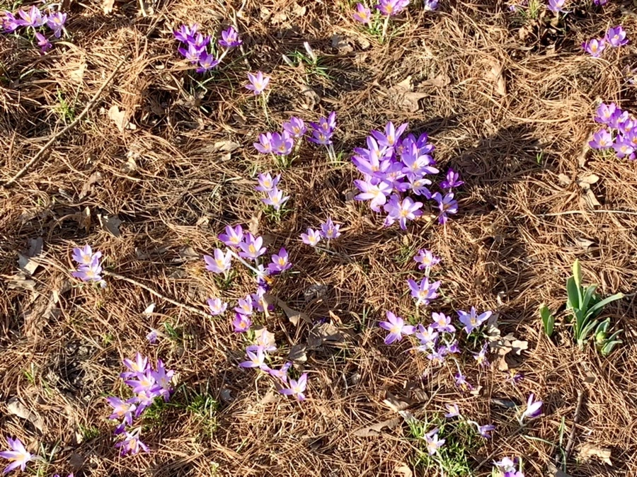 IMG_0410.jpg?type=w966