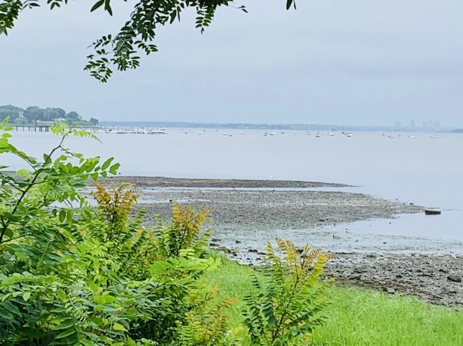 i-fUfwdHLwsjN1UbOSqlooOyvrA