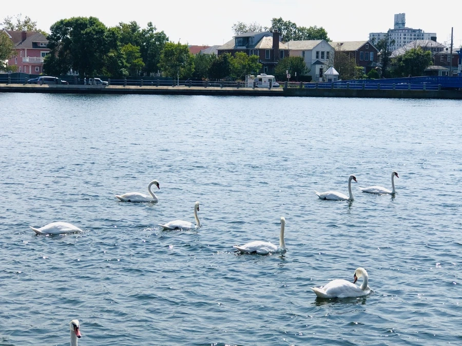 IMG_8449.jpg?type=w966