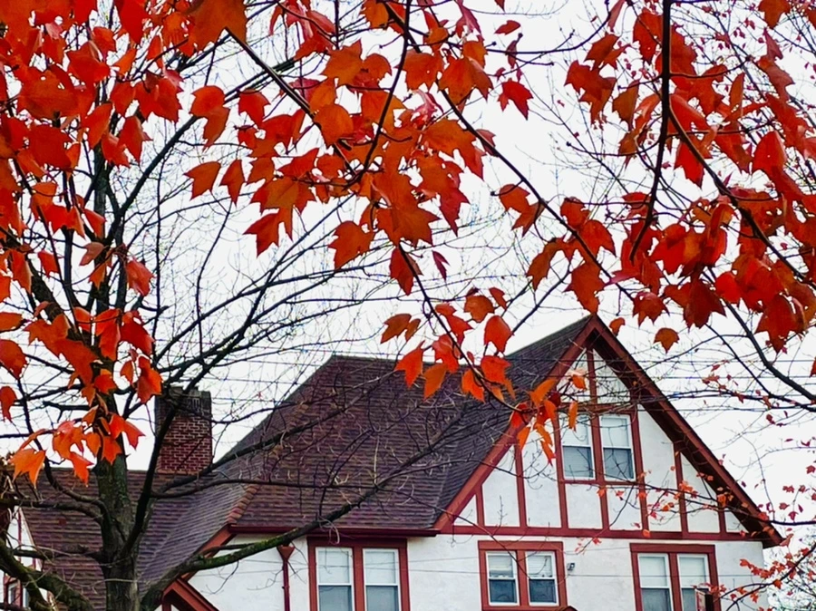 IMG_4463.jpg?type=w966