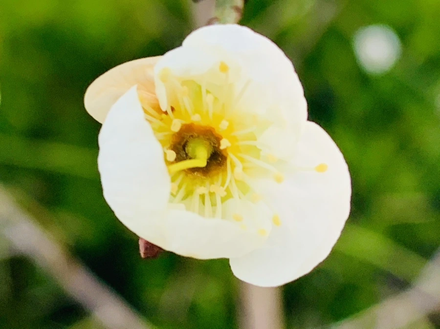 IMG_2369.jpg?type=w966