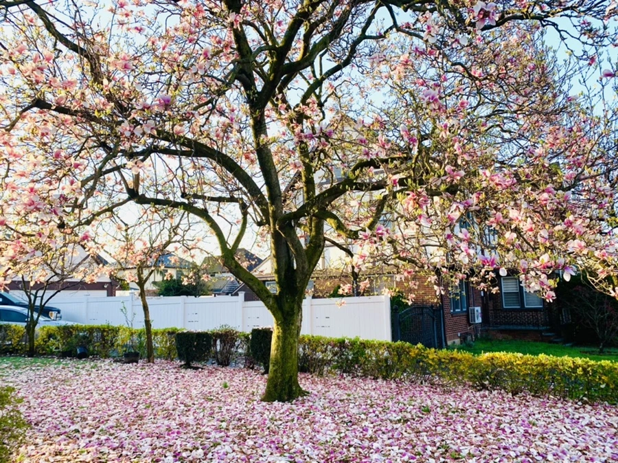 IMG_2428.jpg?type=w966