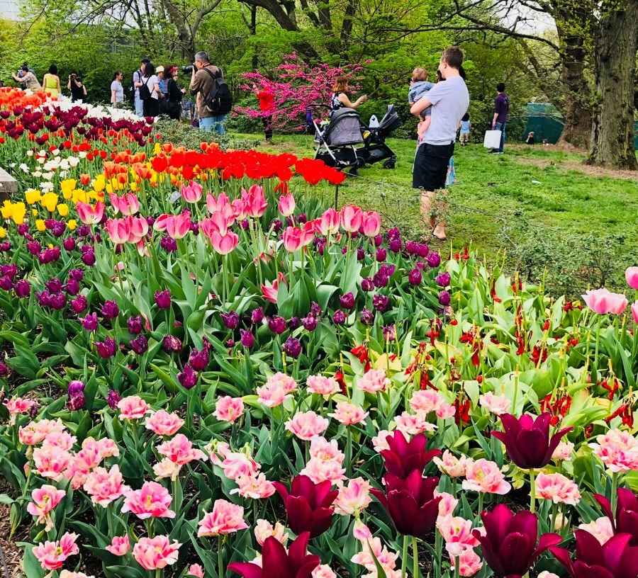 IMG_5513.jpg?type=w966