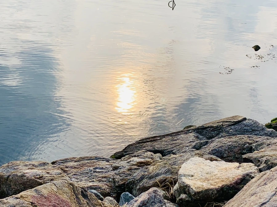 IMG_1589.jpg?type=w966