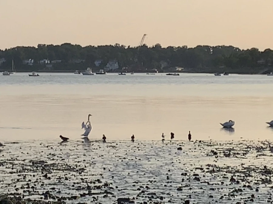 IMG_9762.jpg?type=w966