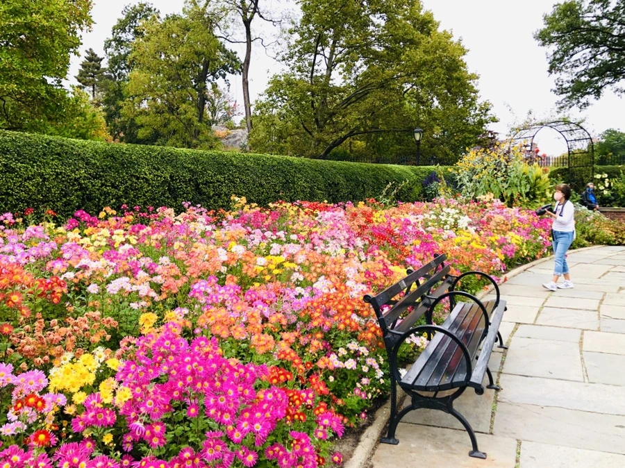 IMG_2459.jpg?type=w966