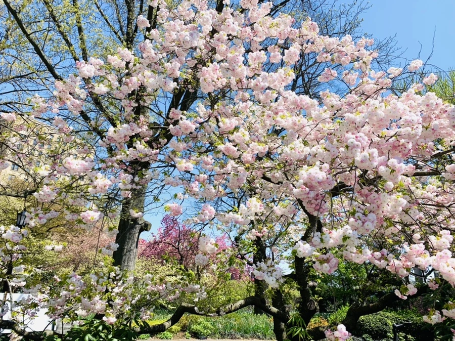 IMG_4826.jpg?type=w966