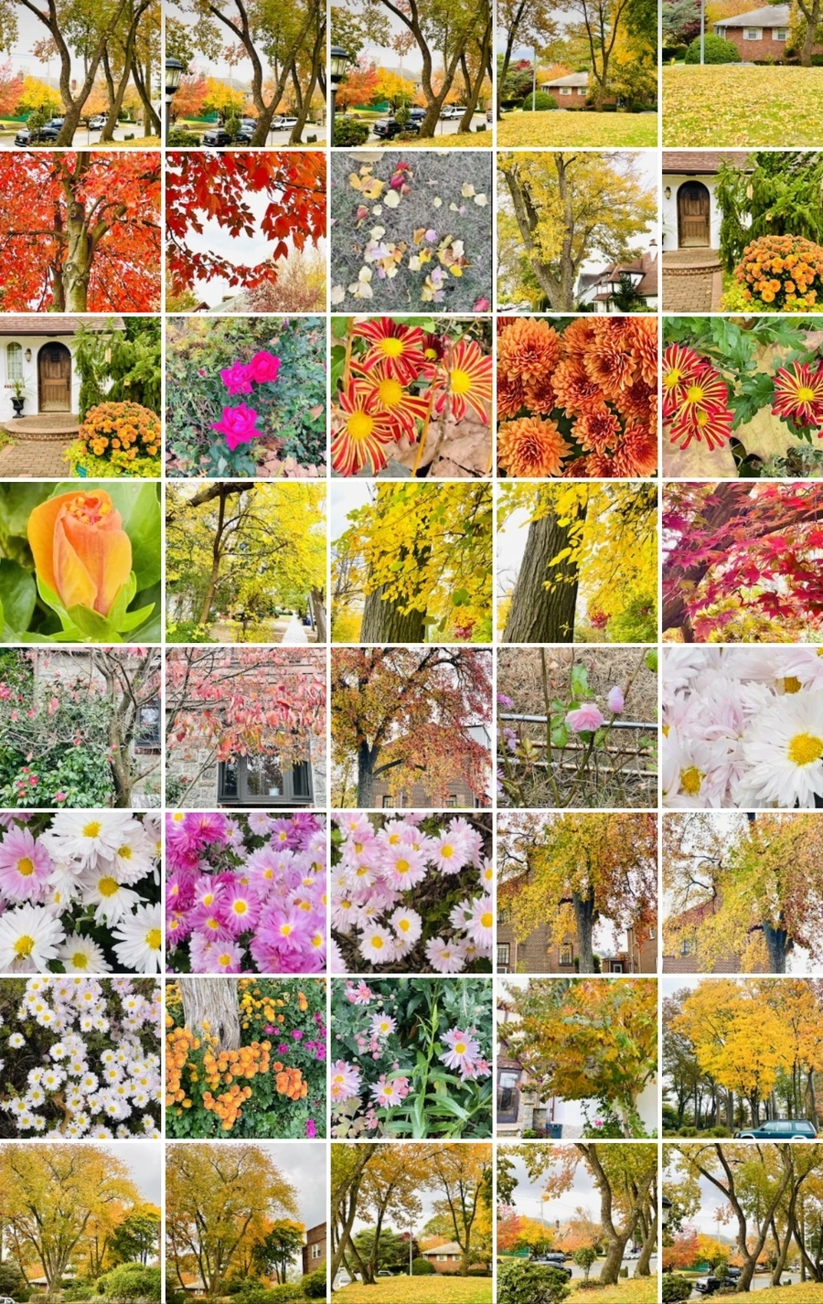 IMG_2514.jpg?type=w966