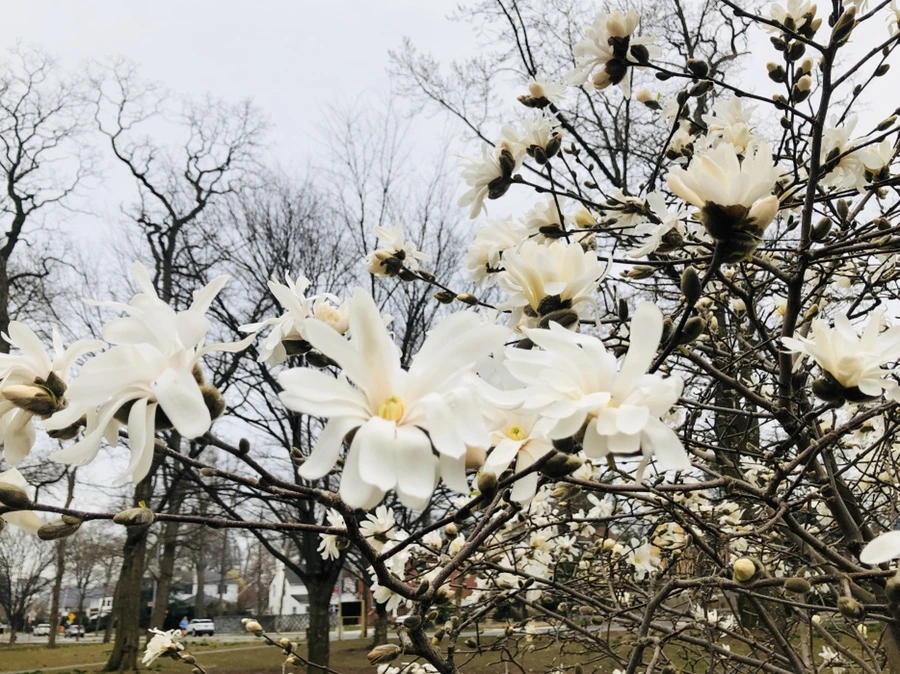 IMG_6521.jpg?type=w966