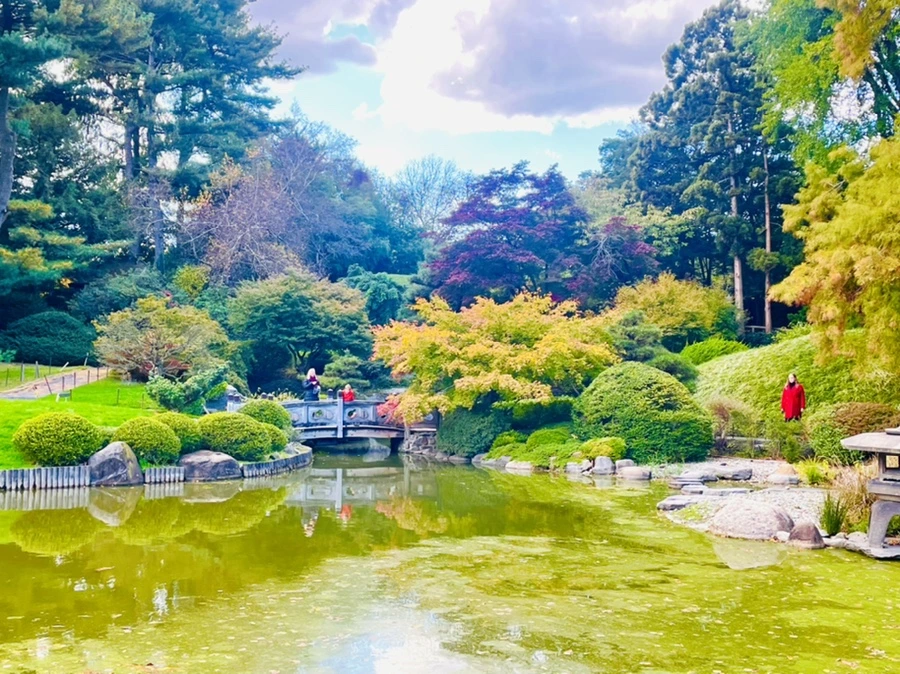 IMG_0169.jpg?type=w966