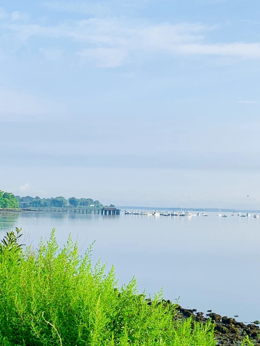 IMG_4403.jpg?type=w966