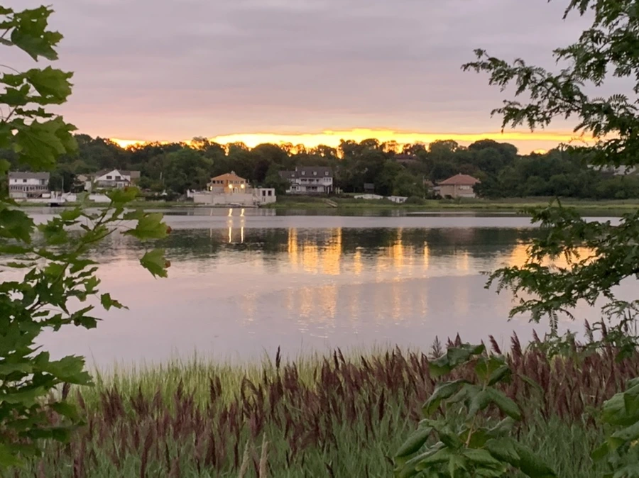 IMG_2288.jpg?type=w966