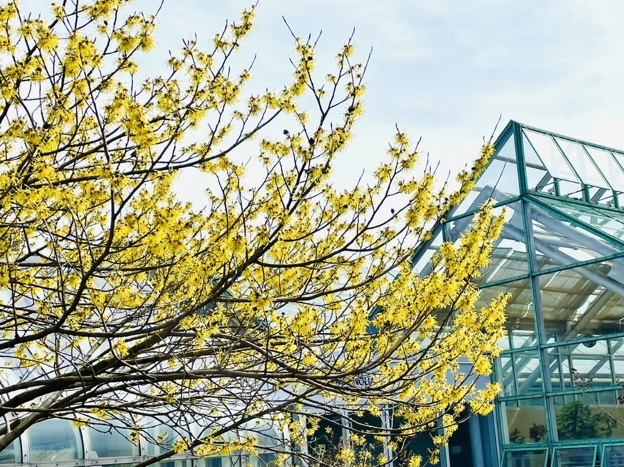 IMG_4172.jpg?type=w966