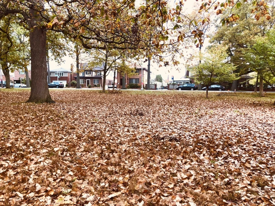 IMG_2940.jpg?type=w966