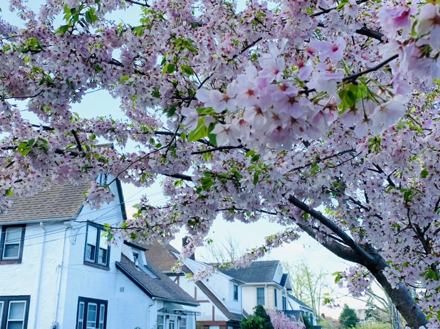 IMG_2645.jpg?type=w966