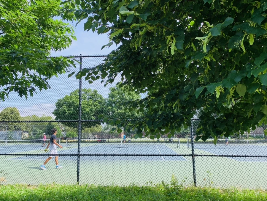 IMG_7083.jpg?type=w966