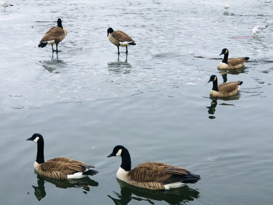 IMG_6155.jpg?type=w966