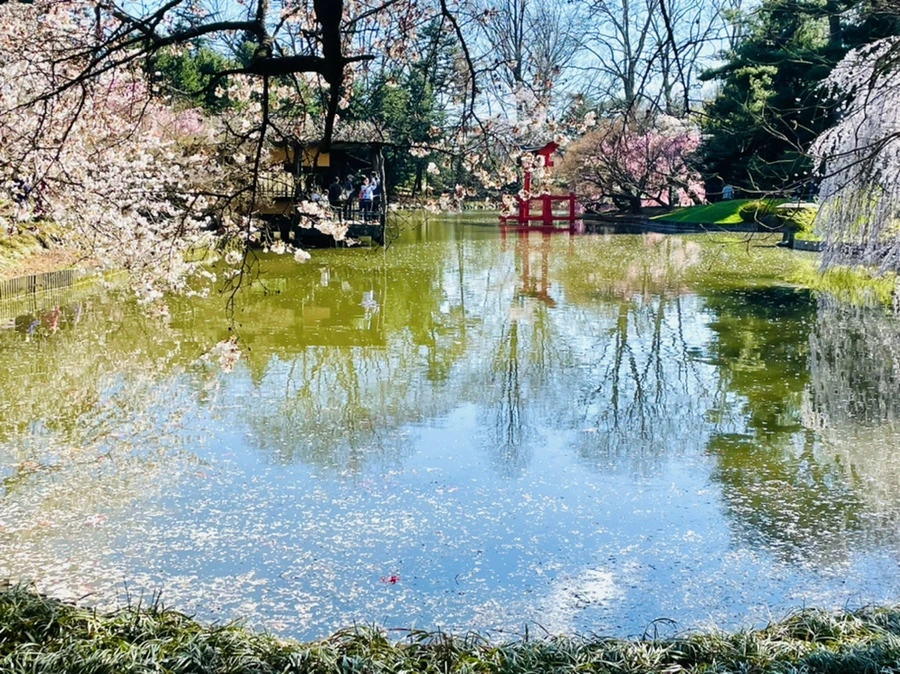 IMG_9512.jpg?type=w966