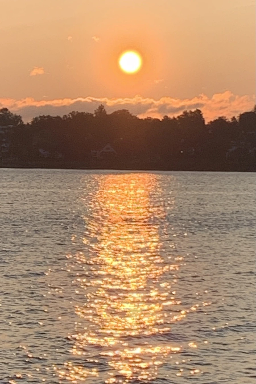 IMG_5516.jpg?type=w966