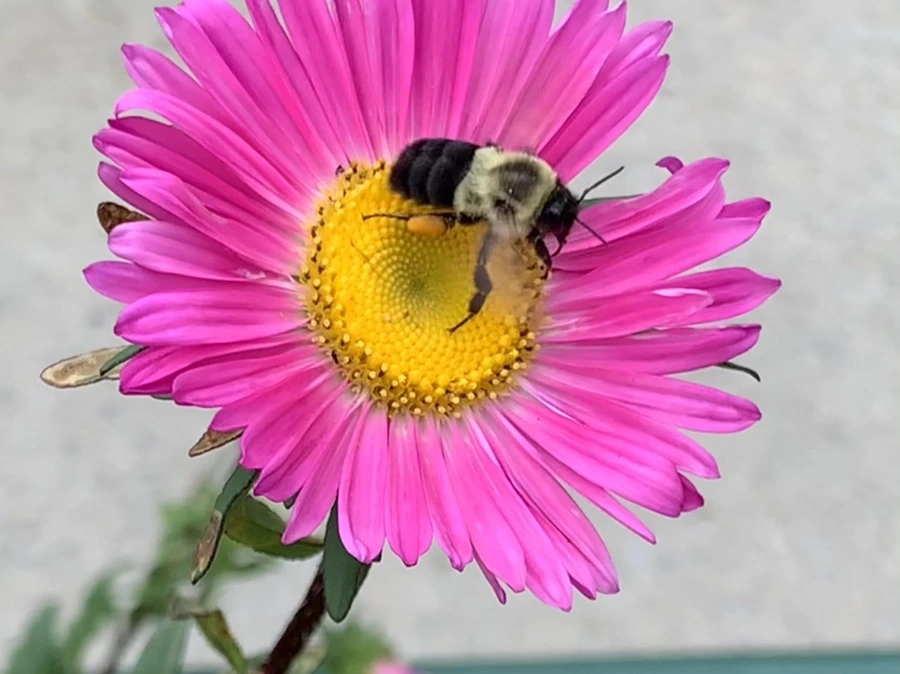 IMG_5895.jpg?type=w966