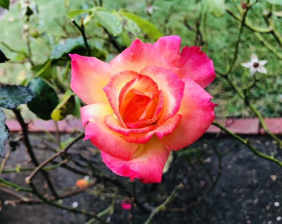 PHzpEYoMjcAzkzFSHOESj3TMnKo