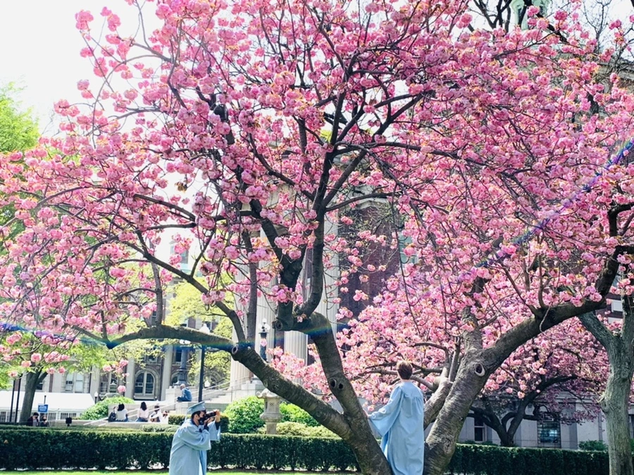 IMG_5091.jpg?type=w966