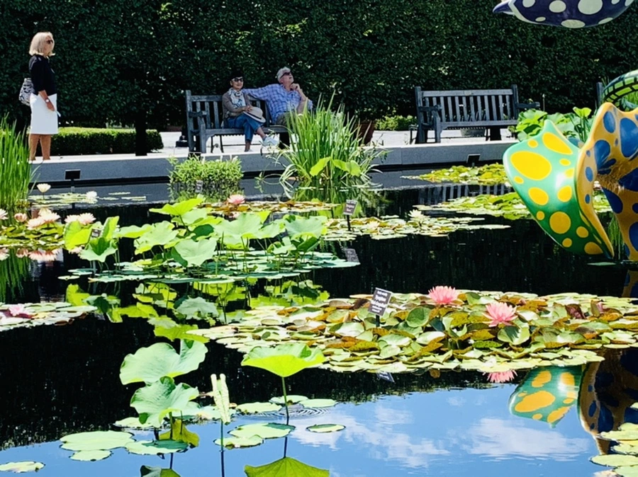 IMG_6628.jpg?type=w966